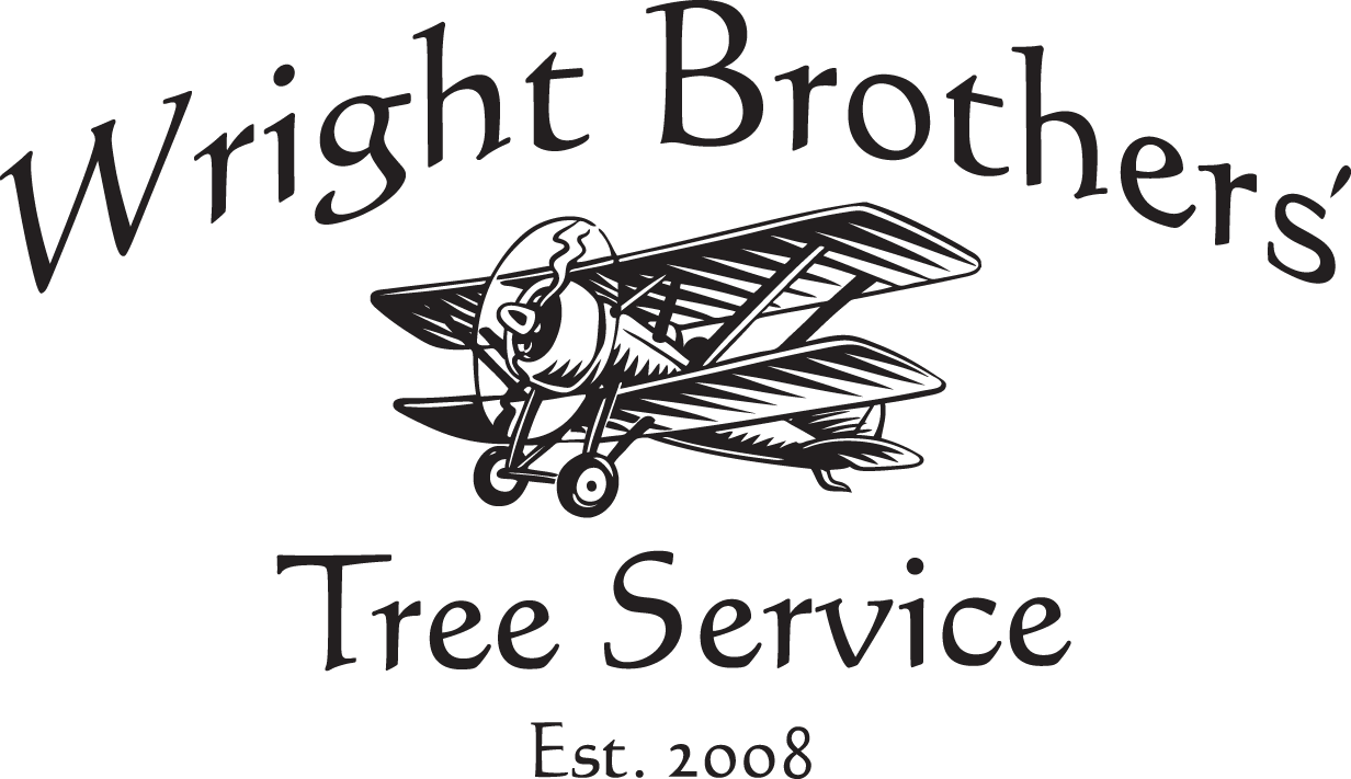 Wright Brothers Tree Service
